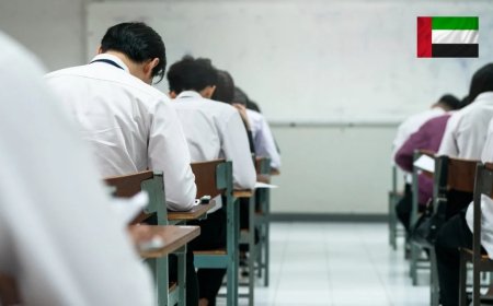 Healthcare Assessment Exams in UAE